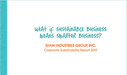 2010 Sustainability Report