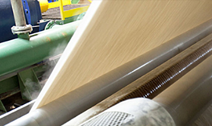 Shaw to Expand South Carolina Carpet Fiber Plant